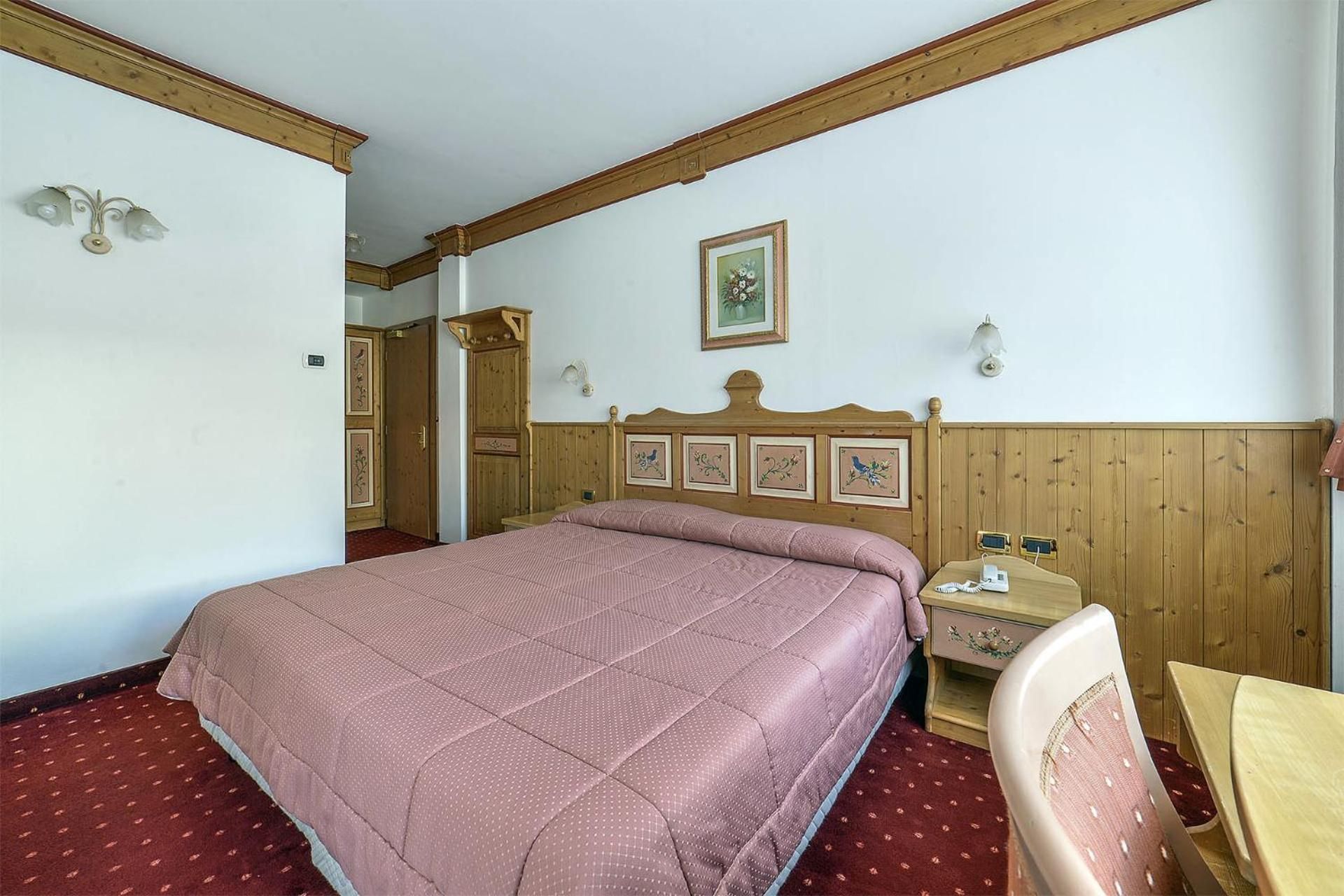 Superior Double or Twin Room with Mountain View