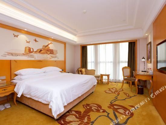 Vienna - Executive Room for 2 Guests