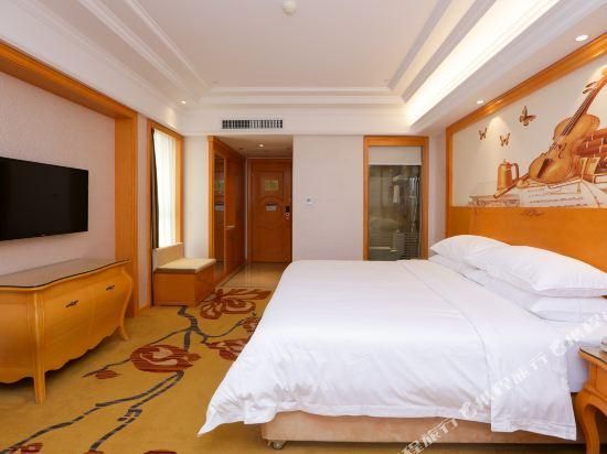 Vienna - Deluxe Room