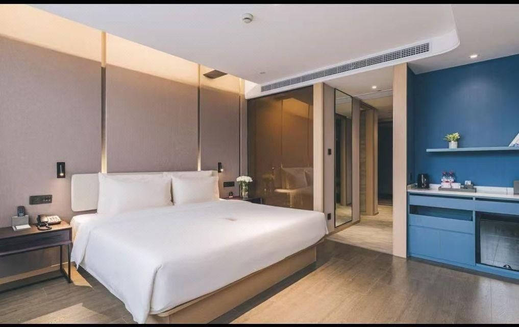 Executive room, Guest room, 1 Queen