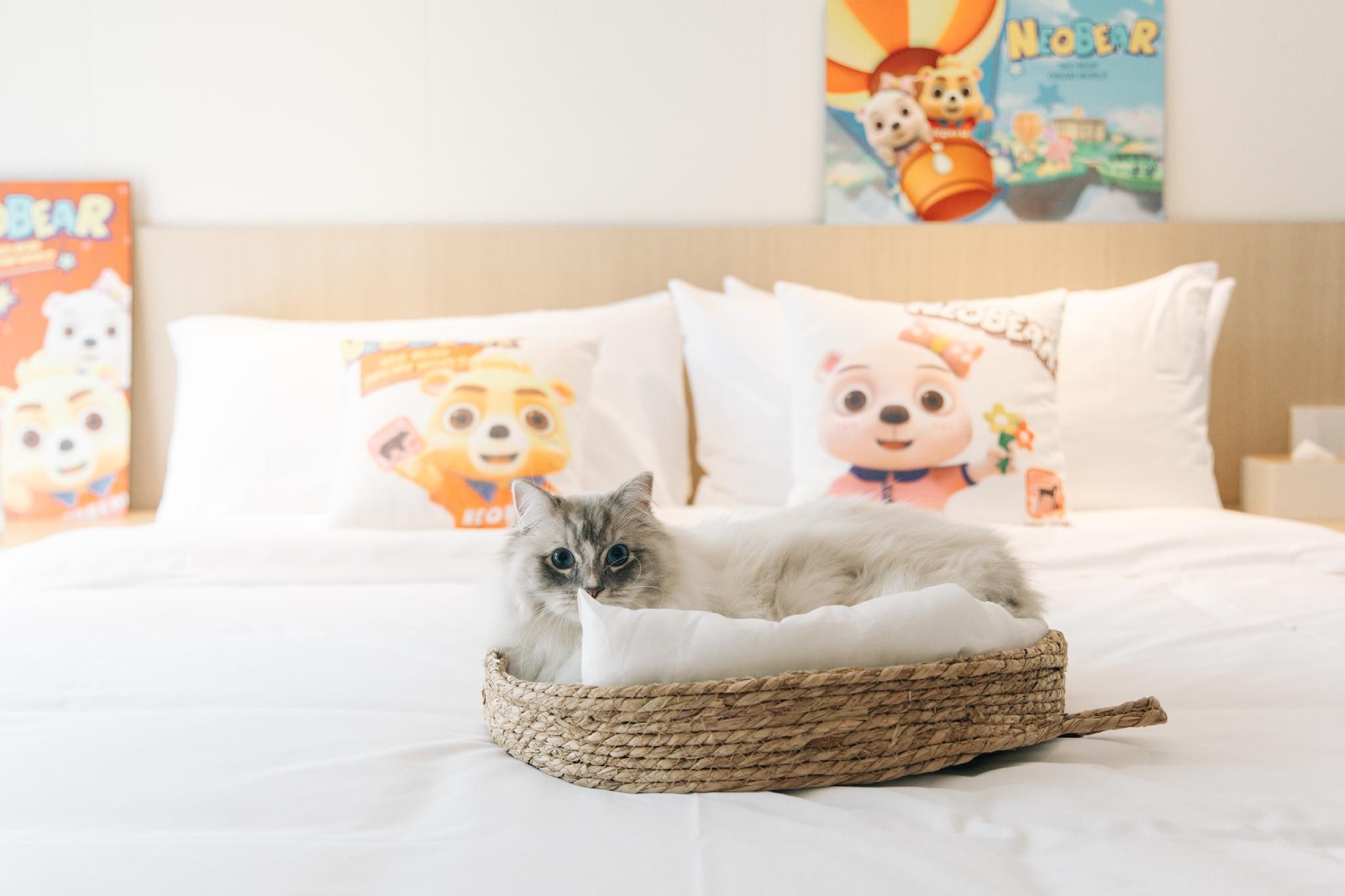 Villa - Dog Friendly