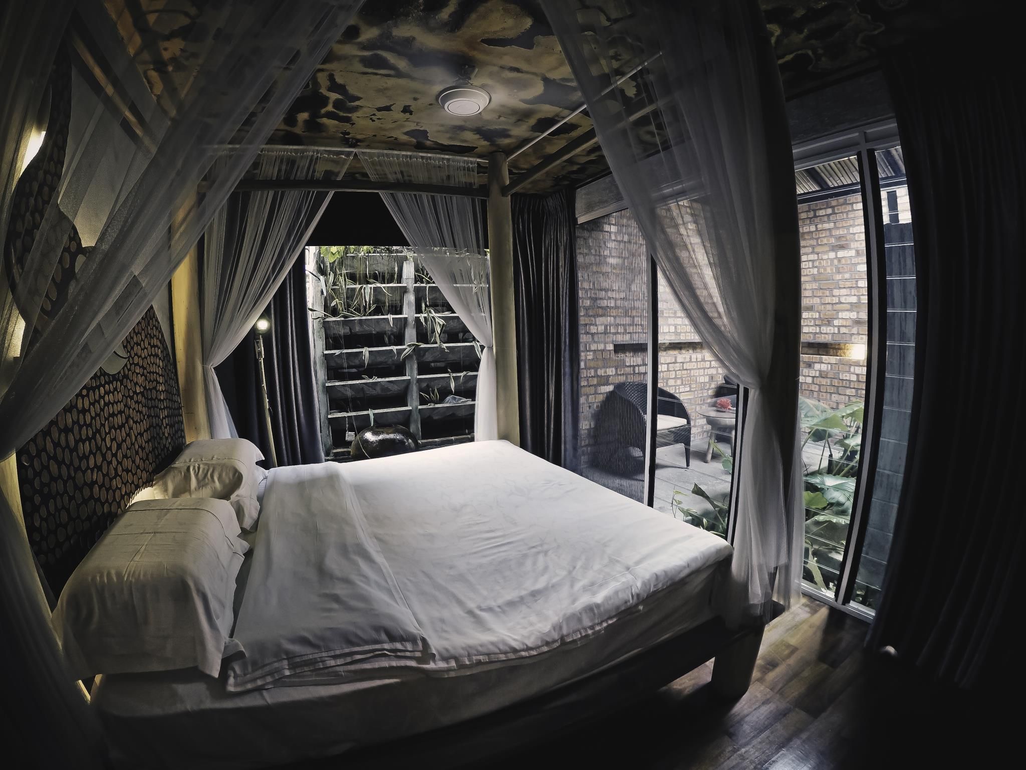 King Del Bal. (The Lotus)