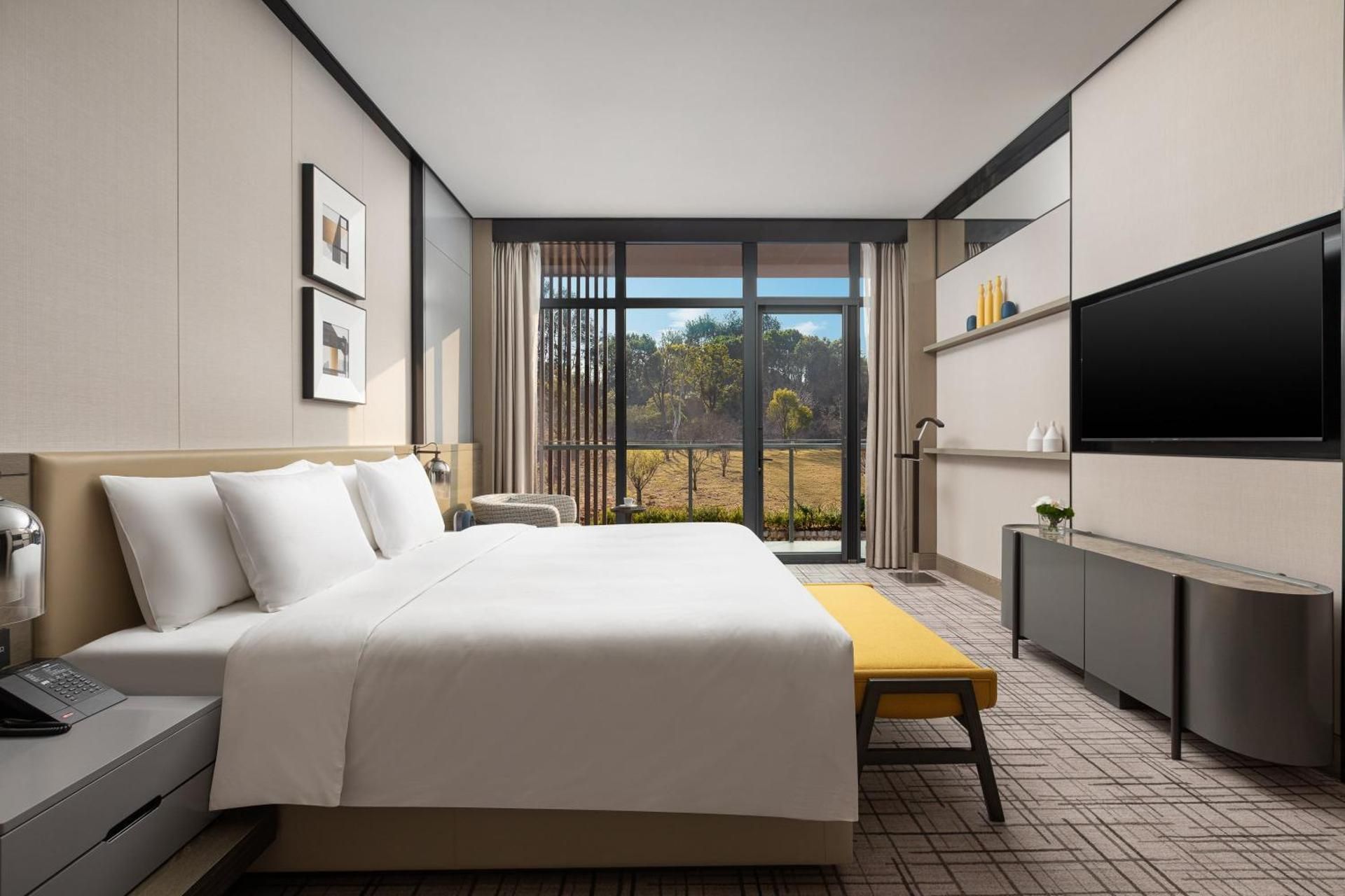 One-Bedroom Suite