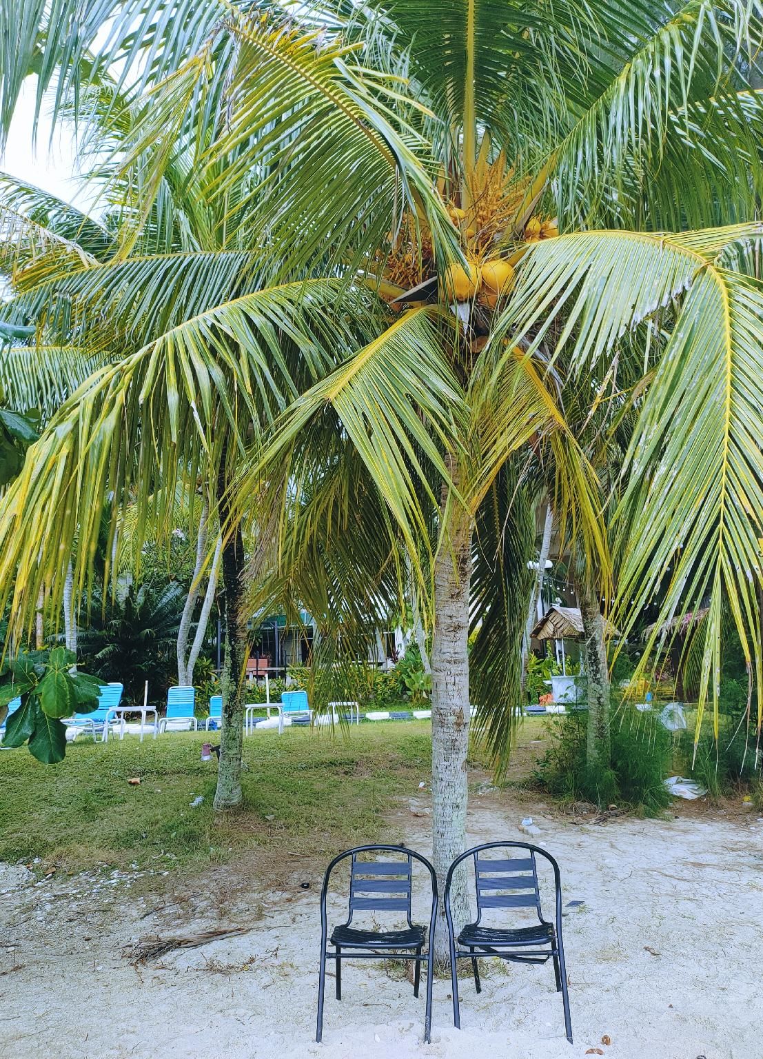 surrounding environment