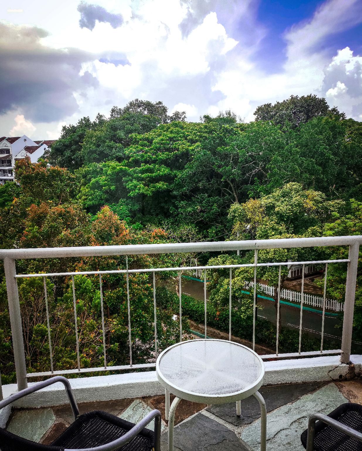 Deluxe Garden View Room