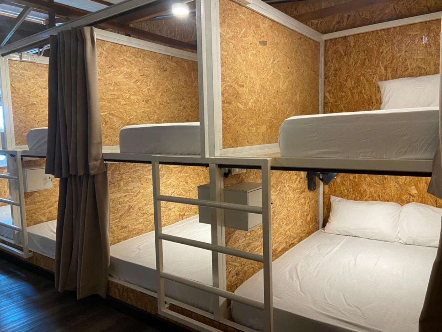 Bunk Bed in Mixed Dormitory Room