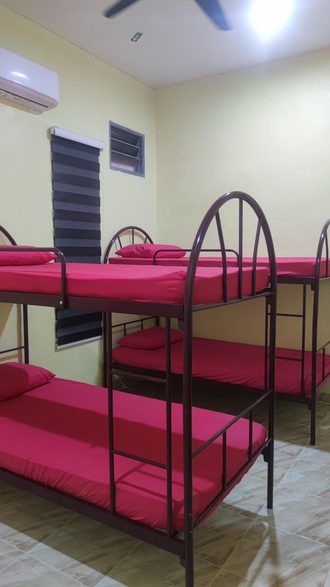 Bunk Bed in Female Dormitory Room
