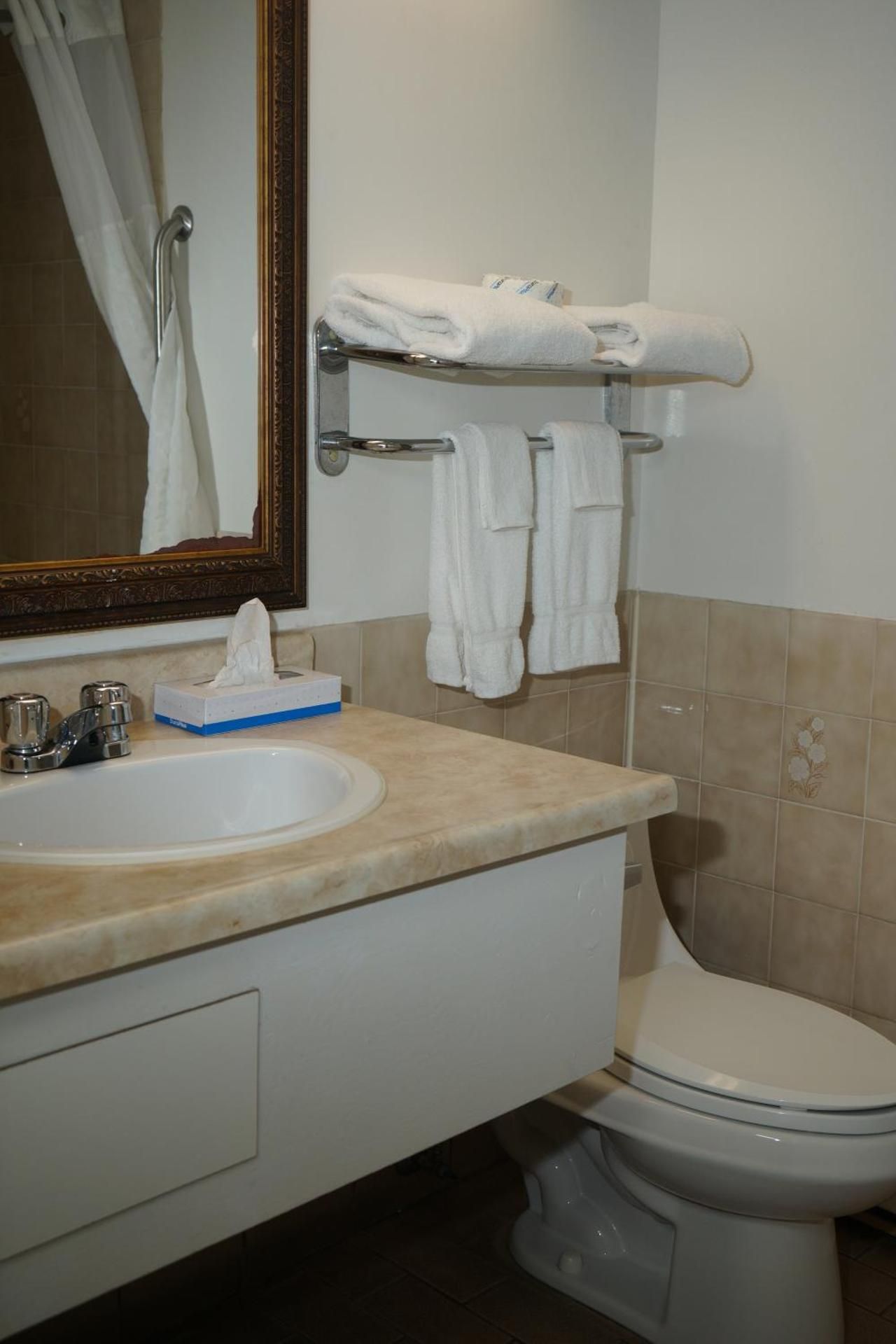 Jolly Roger Inn & Resort Standard Double 3