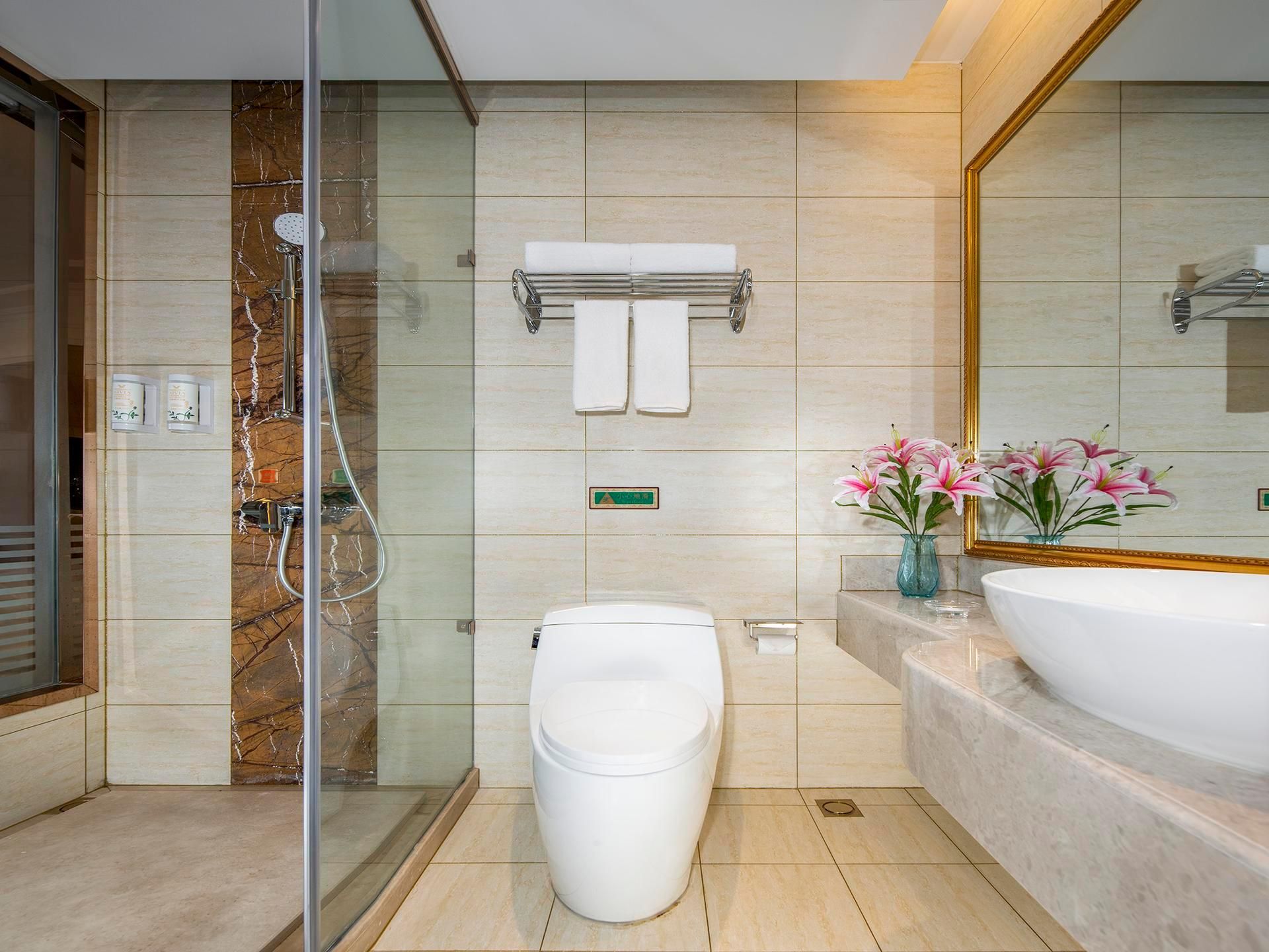 Vienna - Deluxe Room