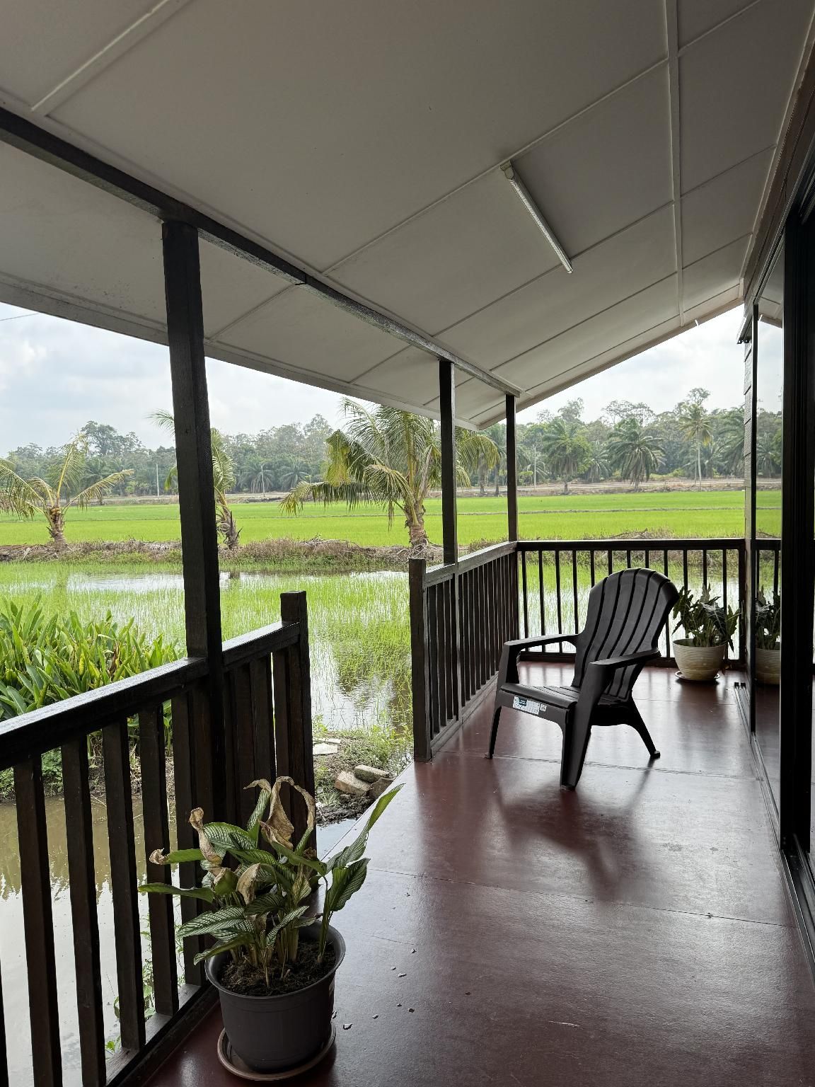 Akira Laman Padi Tanjong Karang Studio Balcony 3
