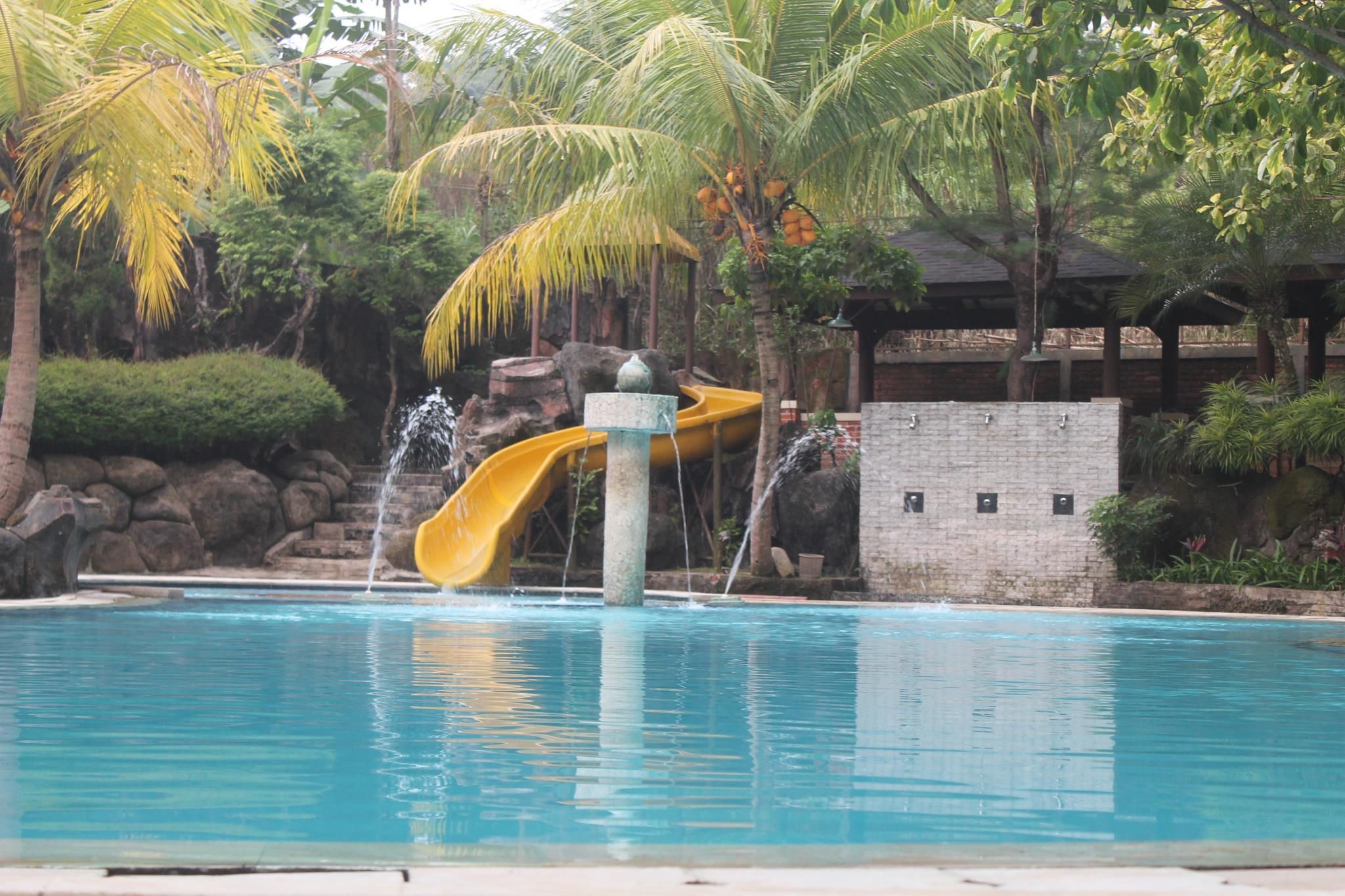 swimming pool [outdoor]