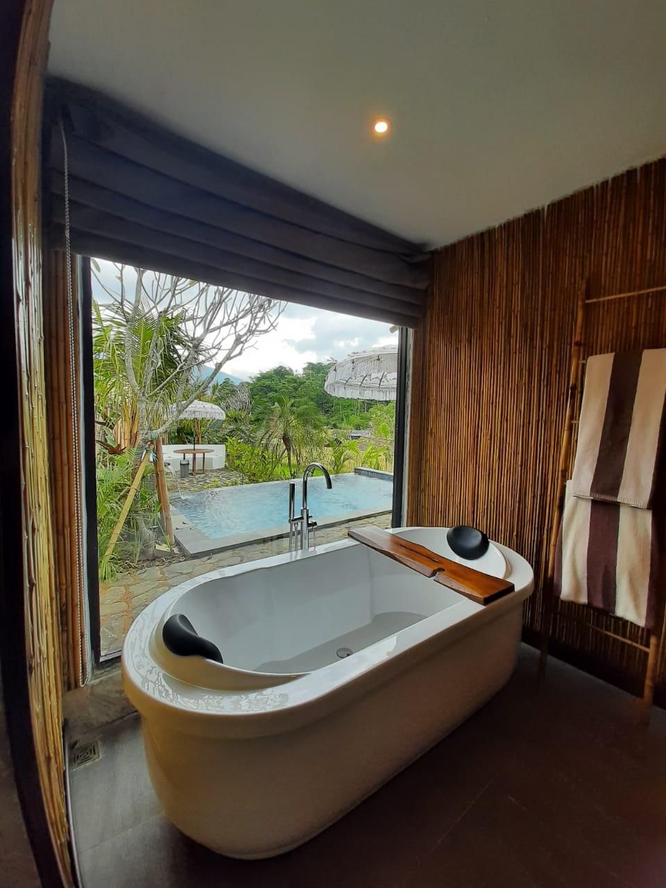 Mountain View Room