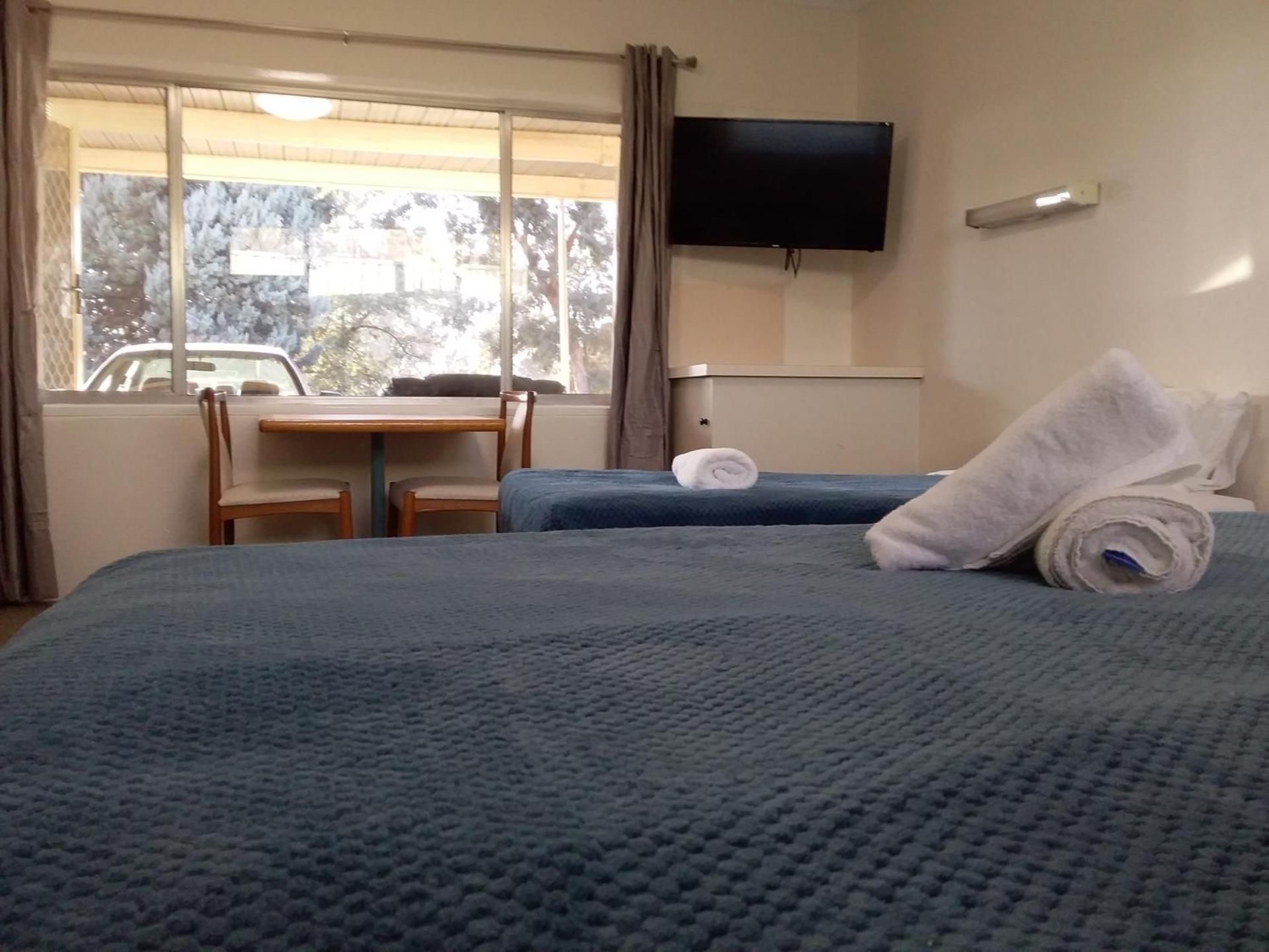 Standard Twin Room -- No Pet