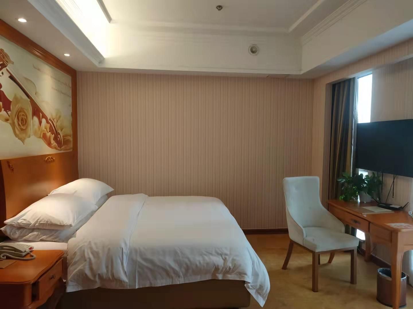 Vienna - Standard 1 Bed Room