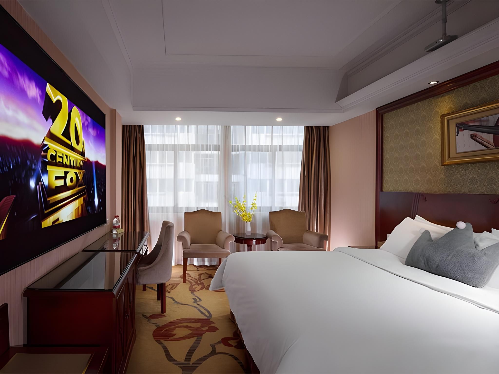 Vienna - Cinema Bed Room