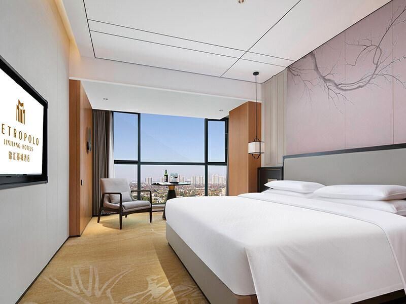 Metropolis Queen Room with River View