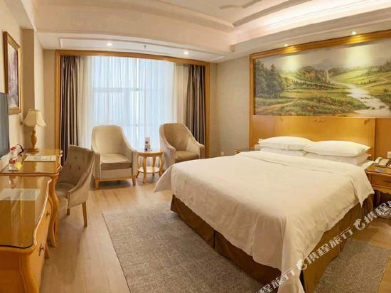 Vienna - Executive Room for 2 Guests