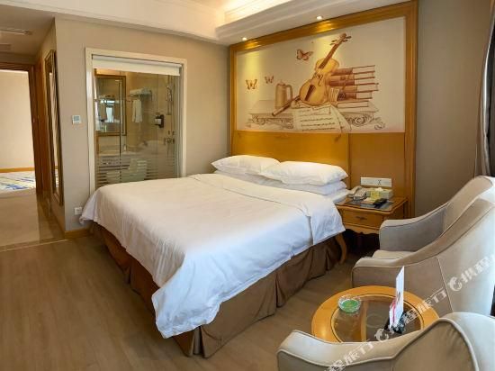Vienna - Standard Single Room