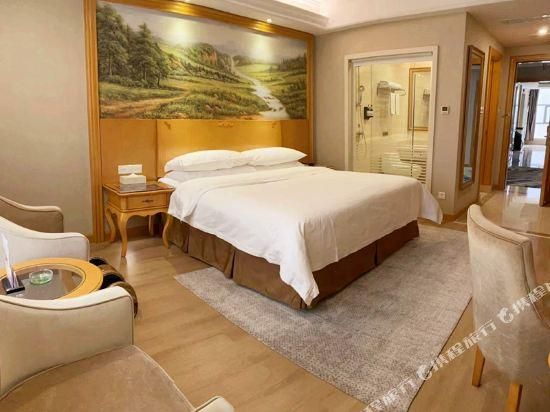 Vienna - Executive Room for 2 Guests
