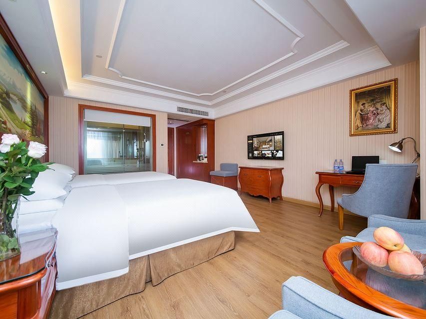 Vienna - Deluxe Room