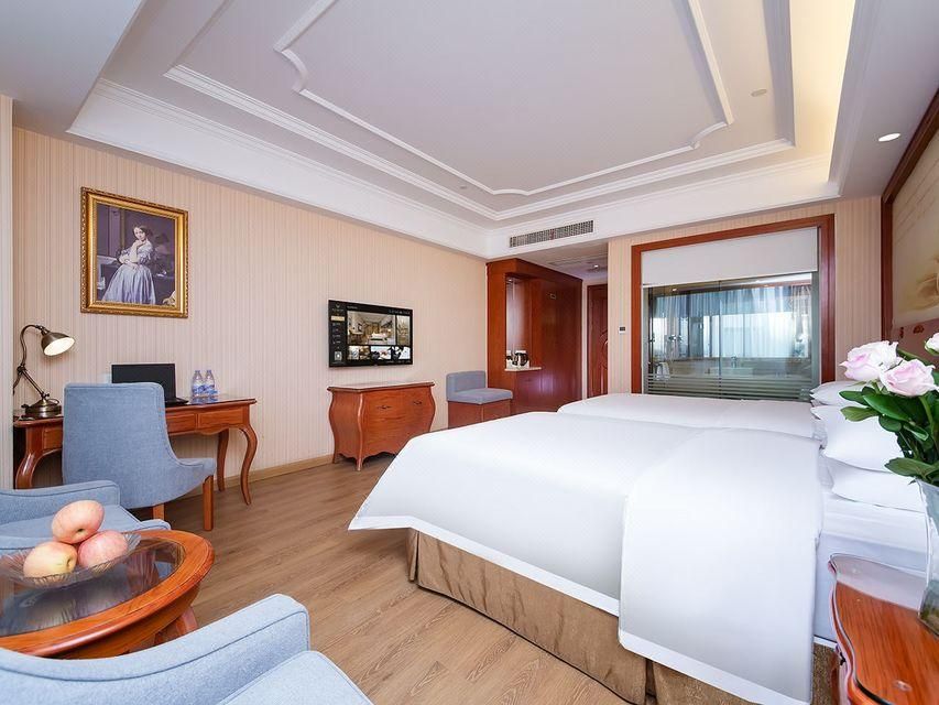 Vienna - Superior Twin room