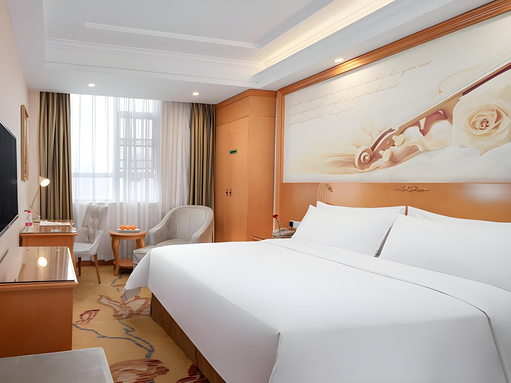 Vienna - Standard 1 Bed Room