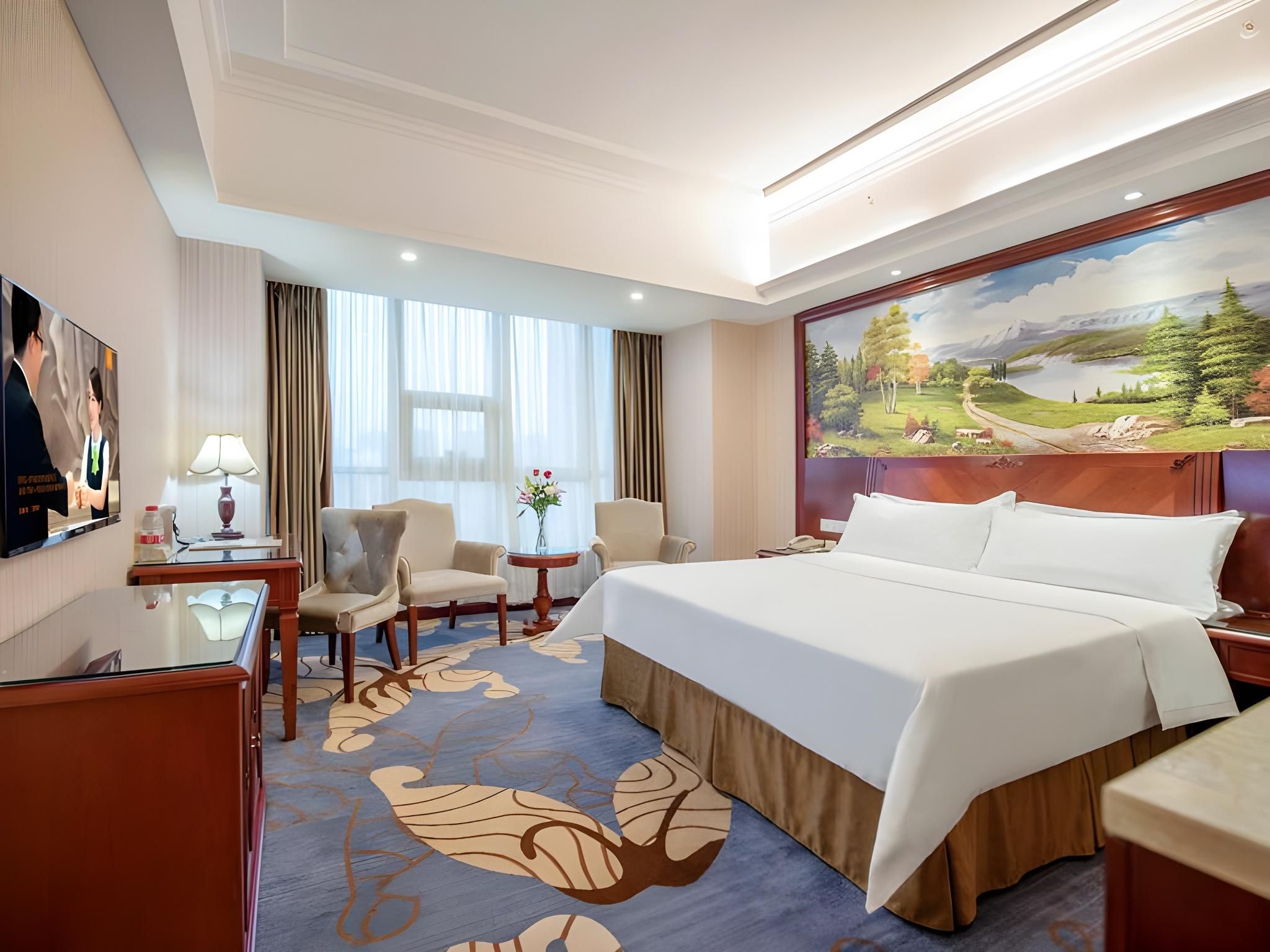 Vienna - Deluxe Room