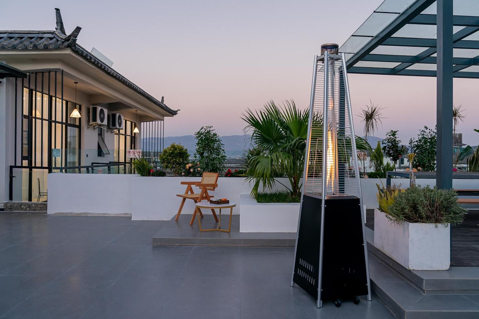 Wuyi Whispering Maple