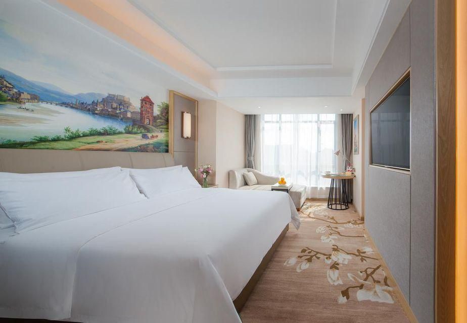 Vienna - Deluxe Room