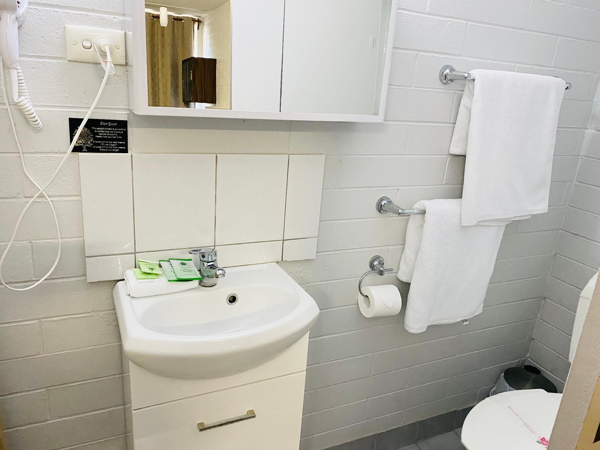 Millers Cottage Motel Double Room 3