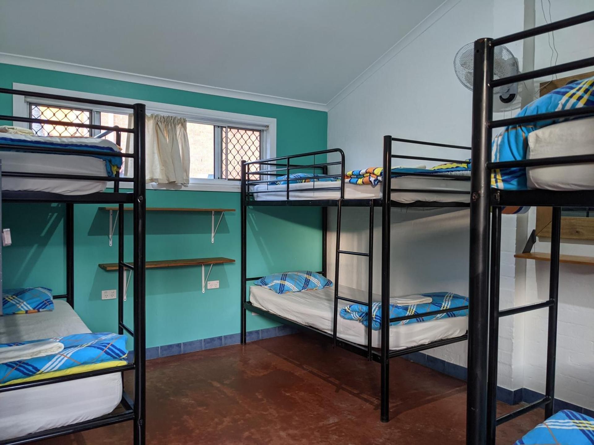Bed in 6-Bed Mixed Dormitory Room