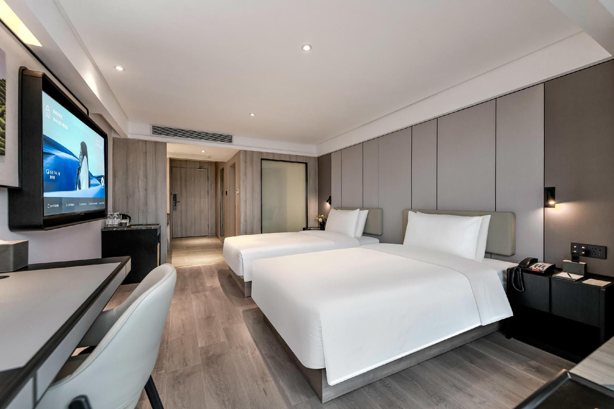 Twin Executive Room