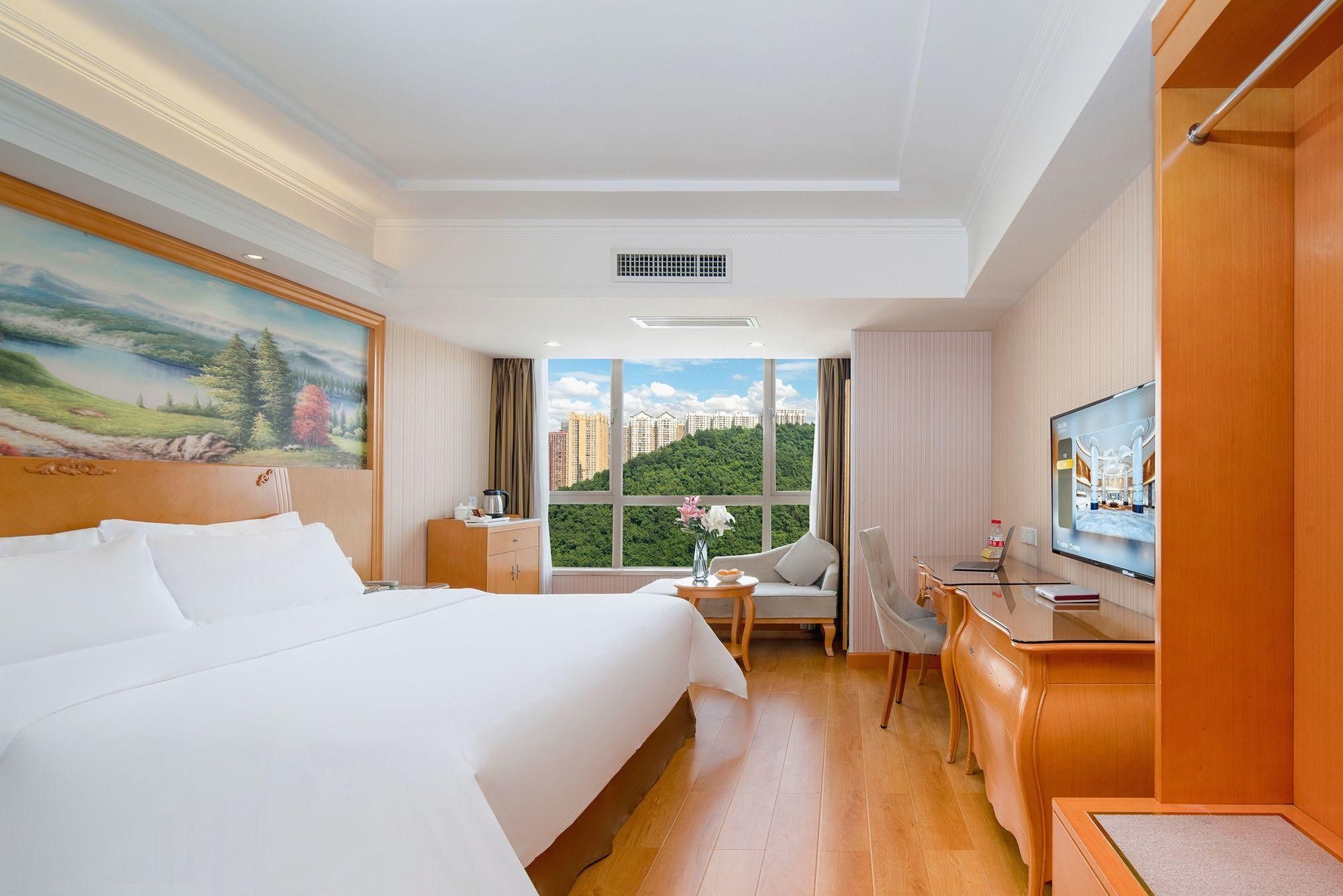 Vienna Hotel Guiyang Huaguoyuan Vienna - Deluxe Room 2