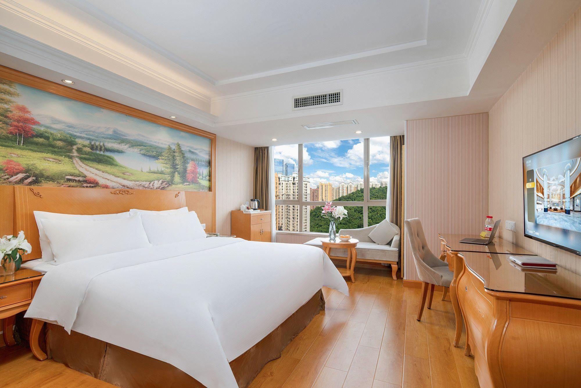 Vienna Hotel Guiyang Huaguoyuan Vienna - Deluxe Room