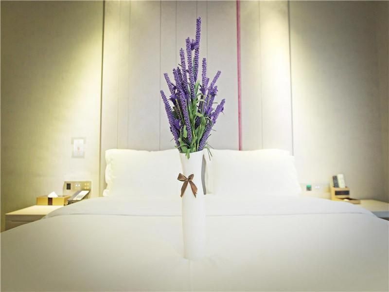 Lavande - FENGDU T Speical Room