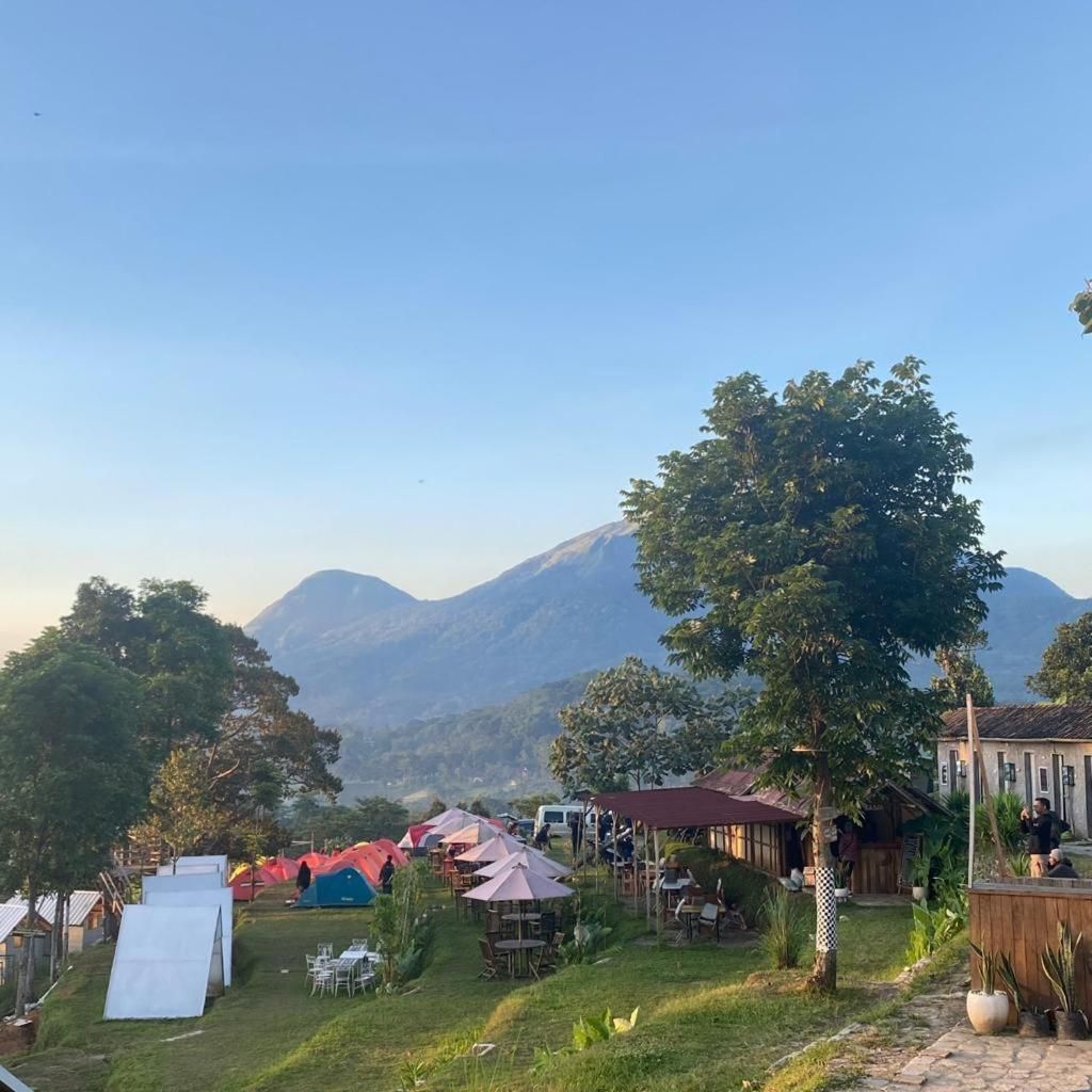 surrounding environment