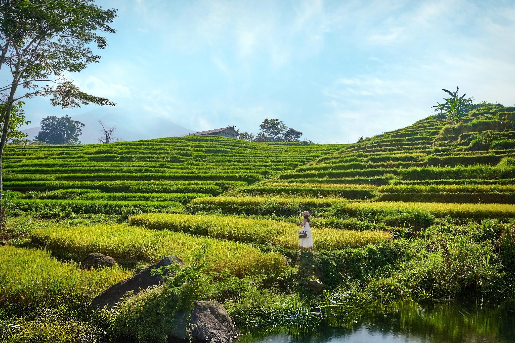 surrounding environment