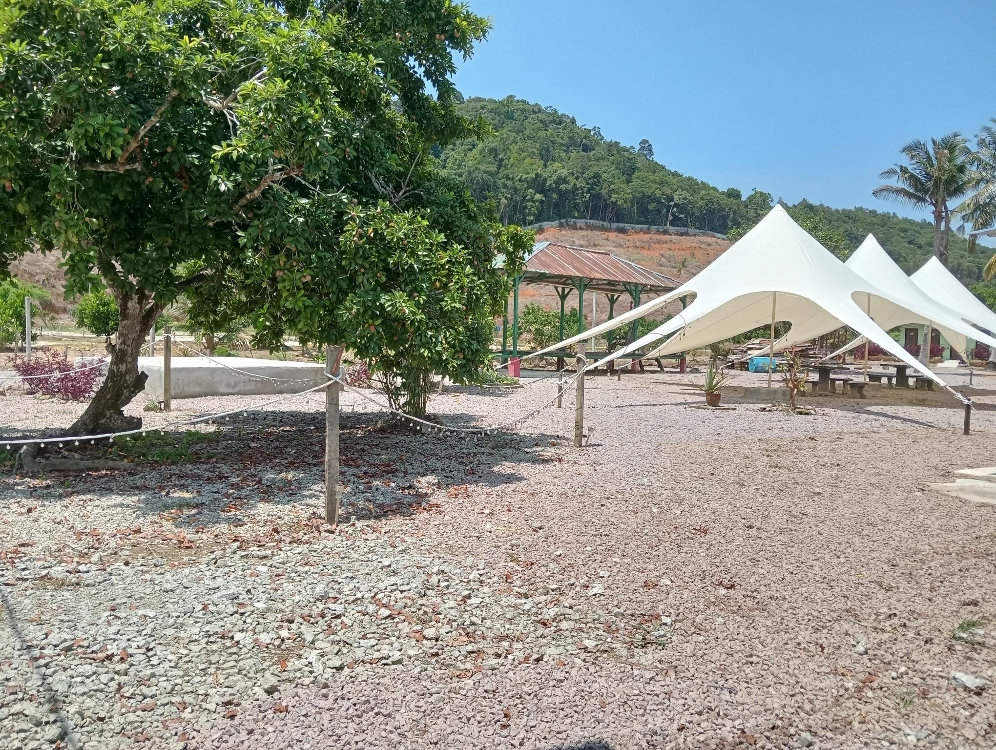 surrounding environment