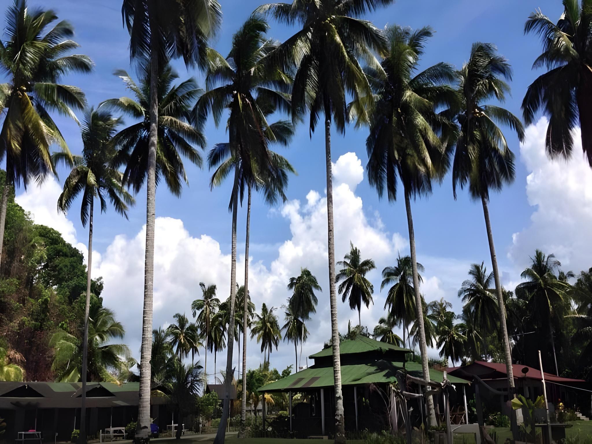 Fishing Bay Resort Junior Suite