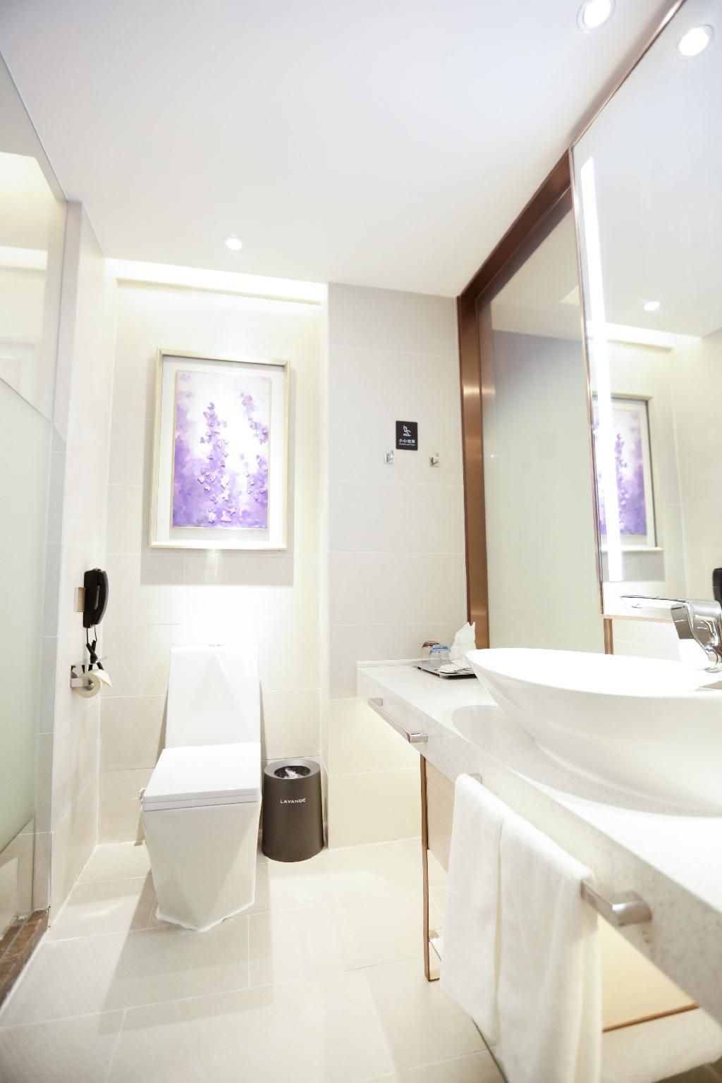 Lavande Hotels Jingdezhen Taoxichuan Creative Square Lavande - Romantic Youxiang Room 2