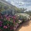 River Gardens Axedale Pet Friendly Farmstay B&B