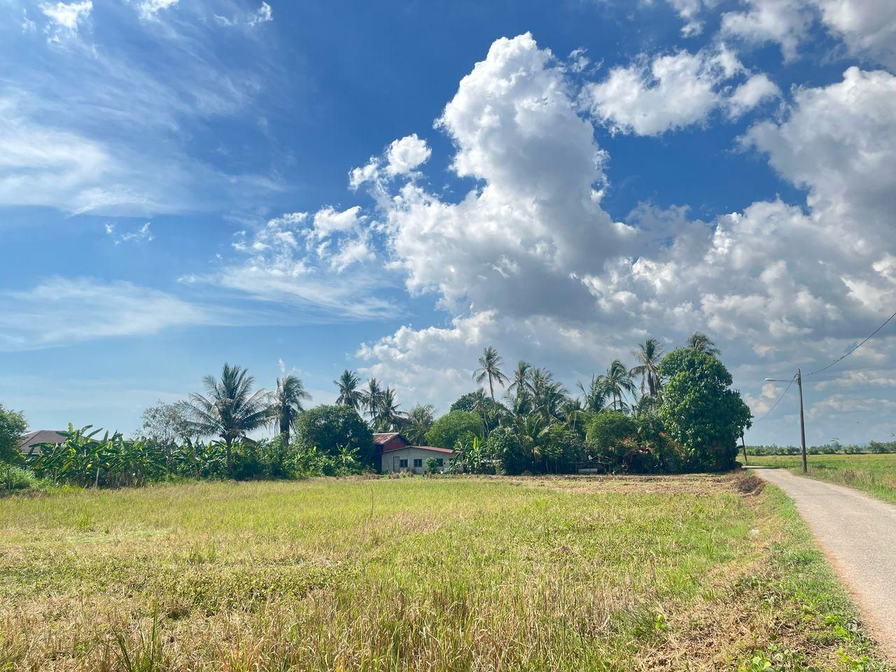 surrounding environment