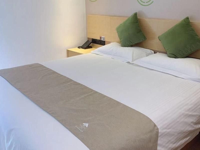 GreenTree Inn Langfang Dachang Studio City Double Room 2