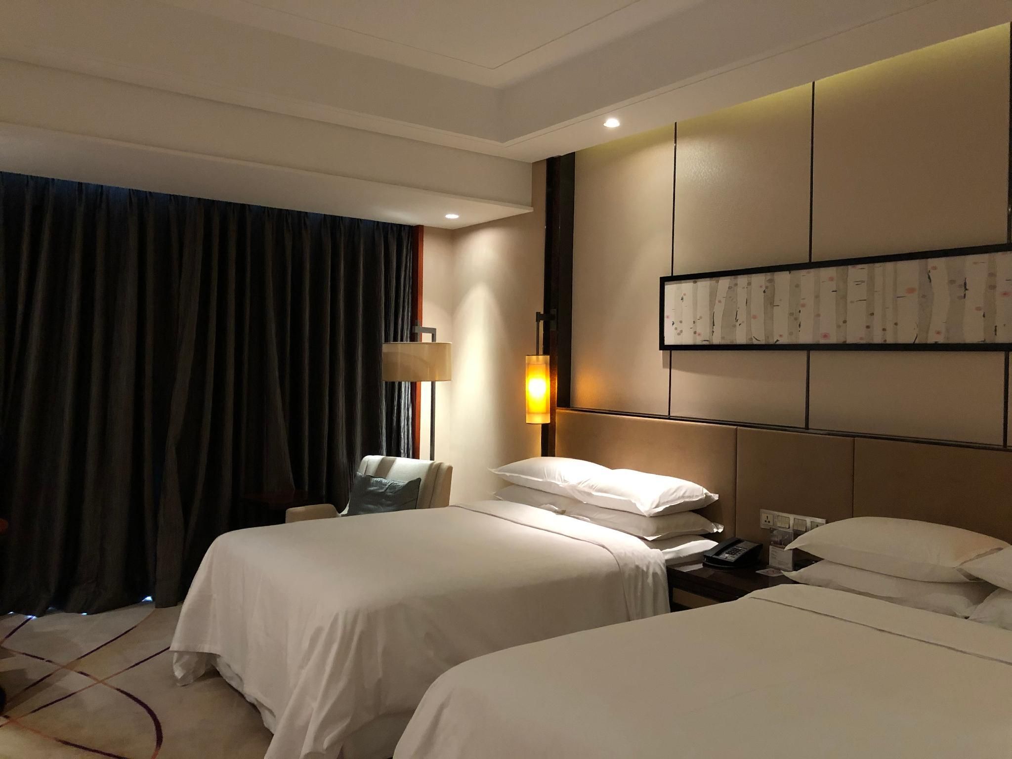 Premier Room, Larger Guest room, 2 Twin