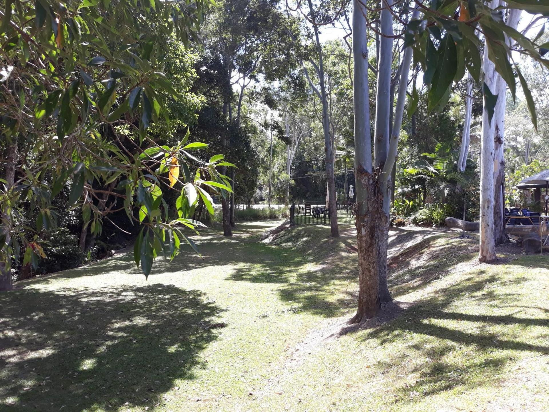 surrounding environment