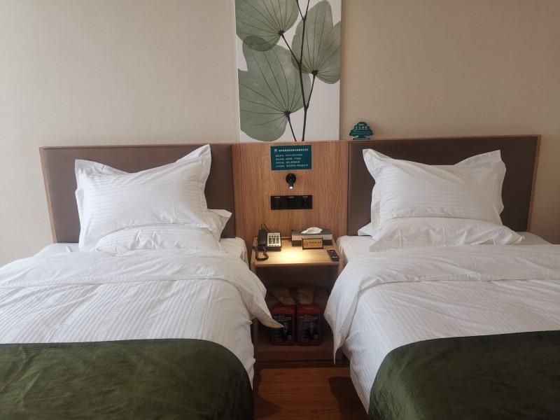 Twin Bussiness Room