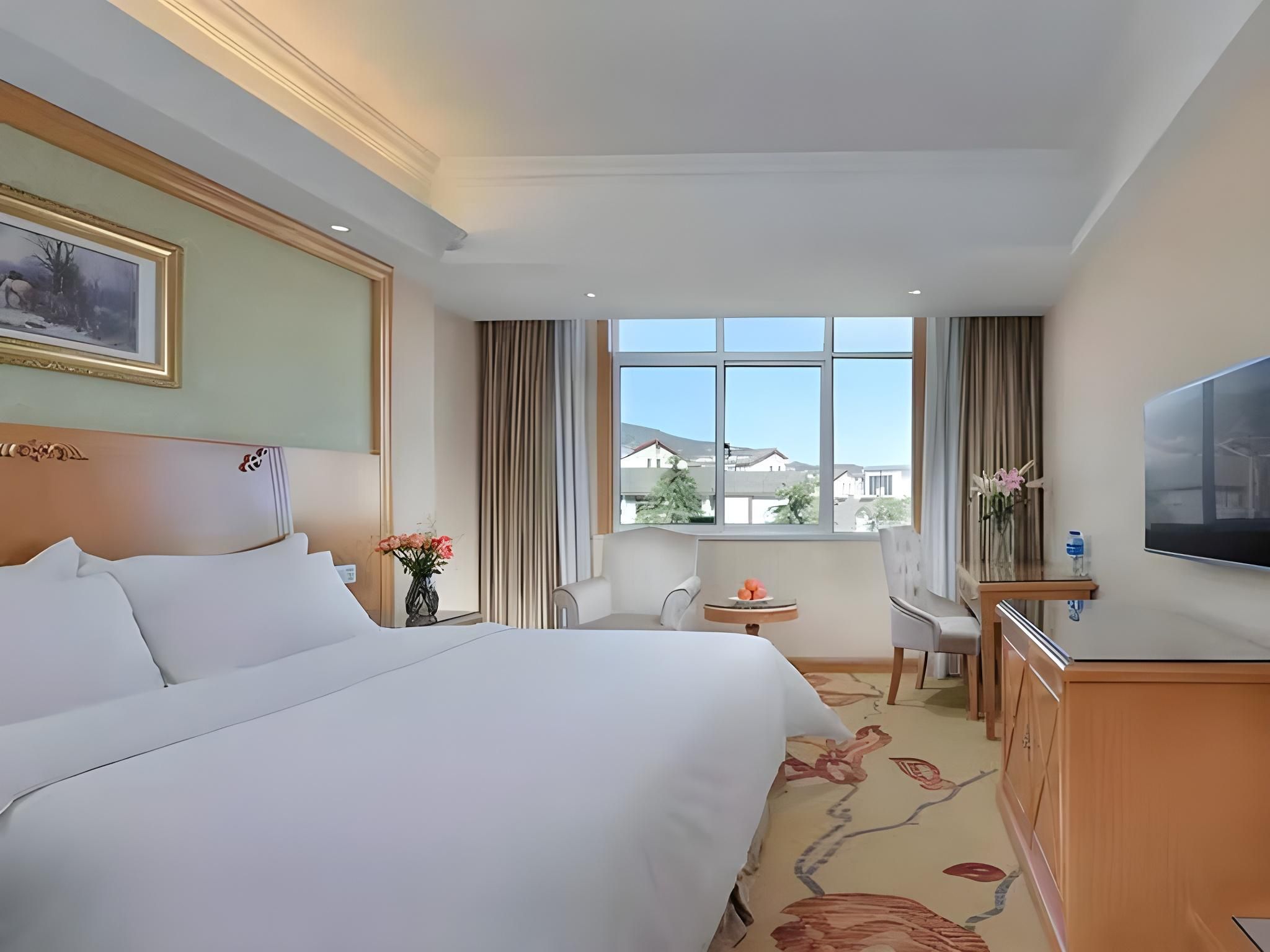 Vienna - Deluxe Room