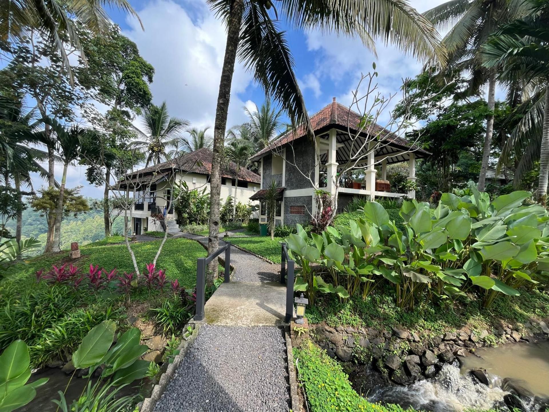 surrounding environment