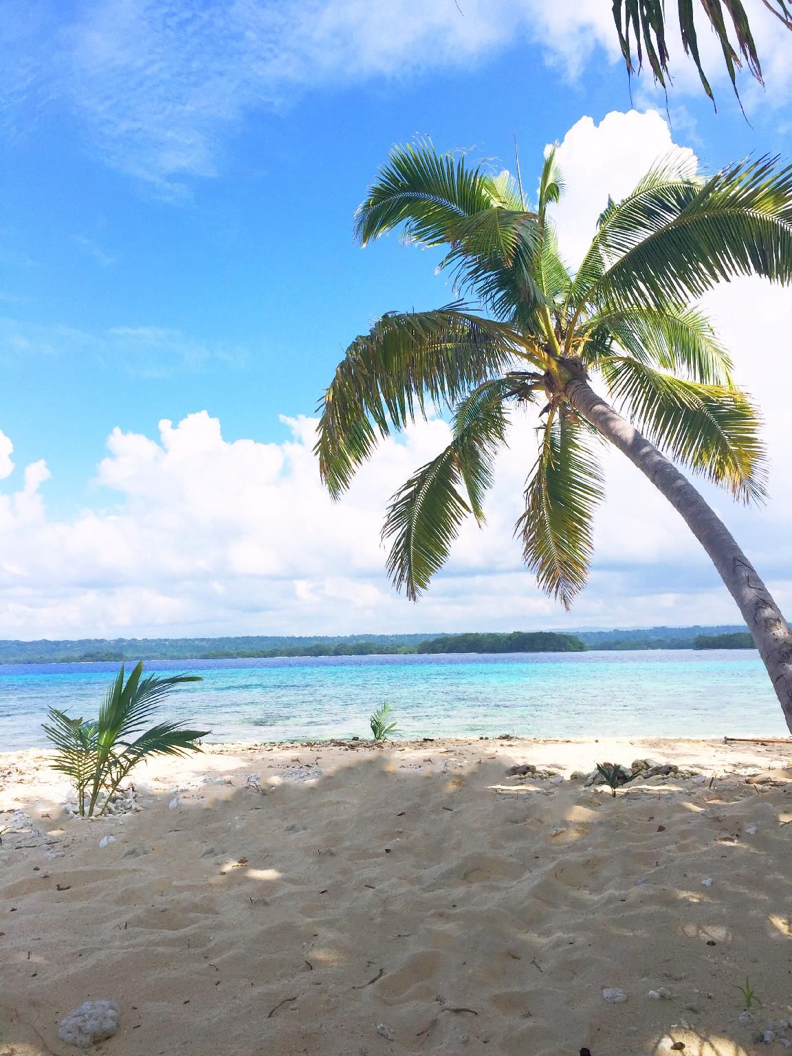 Dany Island