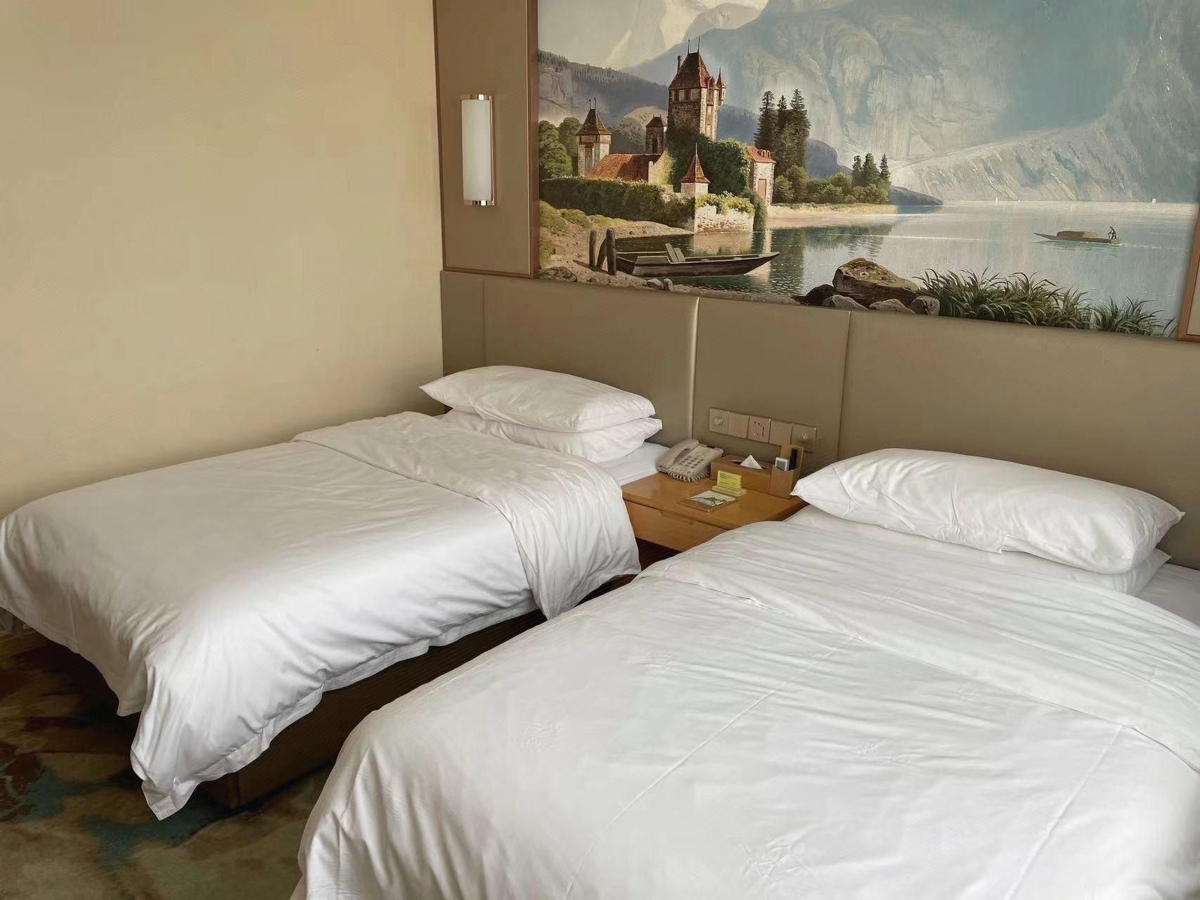 Vienna - Business Twin Room